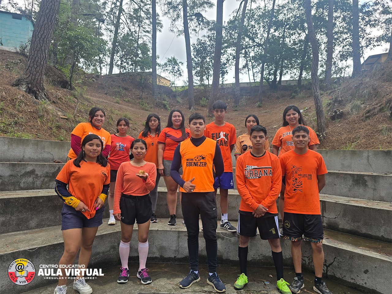 Clase virtual de programación